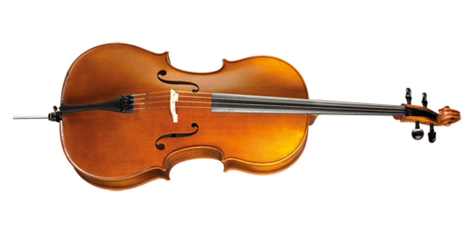 Paesold Cello PA601E (copy)-1