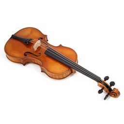 &quot;Guadagnini&quot; Violin H225-BG-5