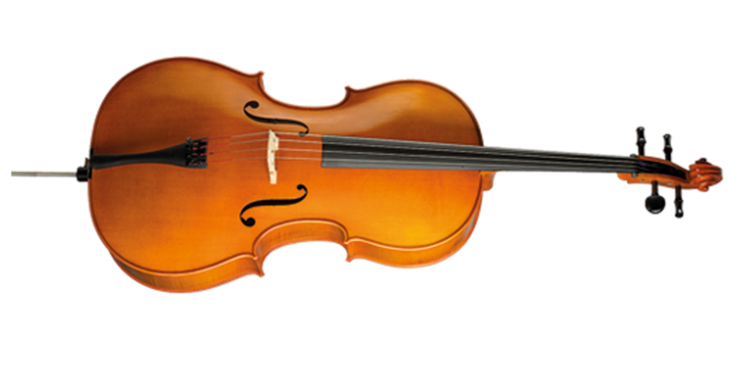 Paesold Cello PA600-1
