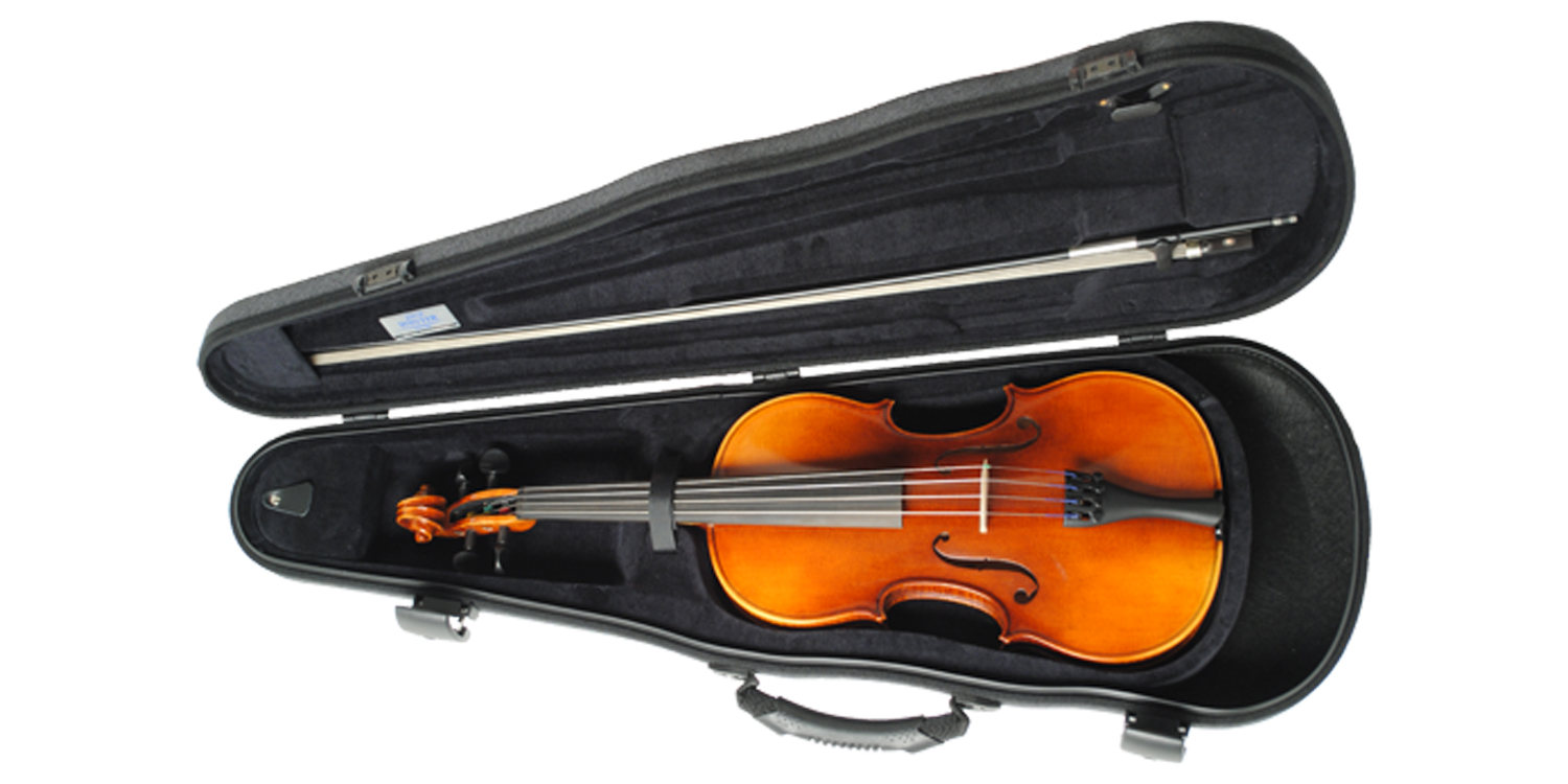 Paesold Violin Outfit PA803HV-1