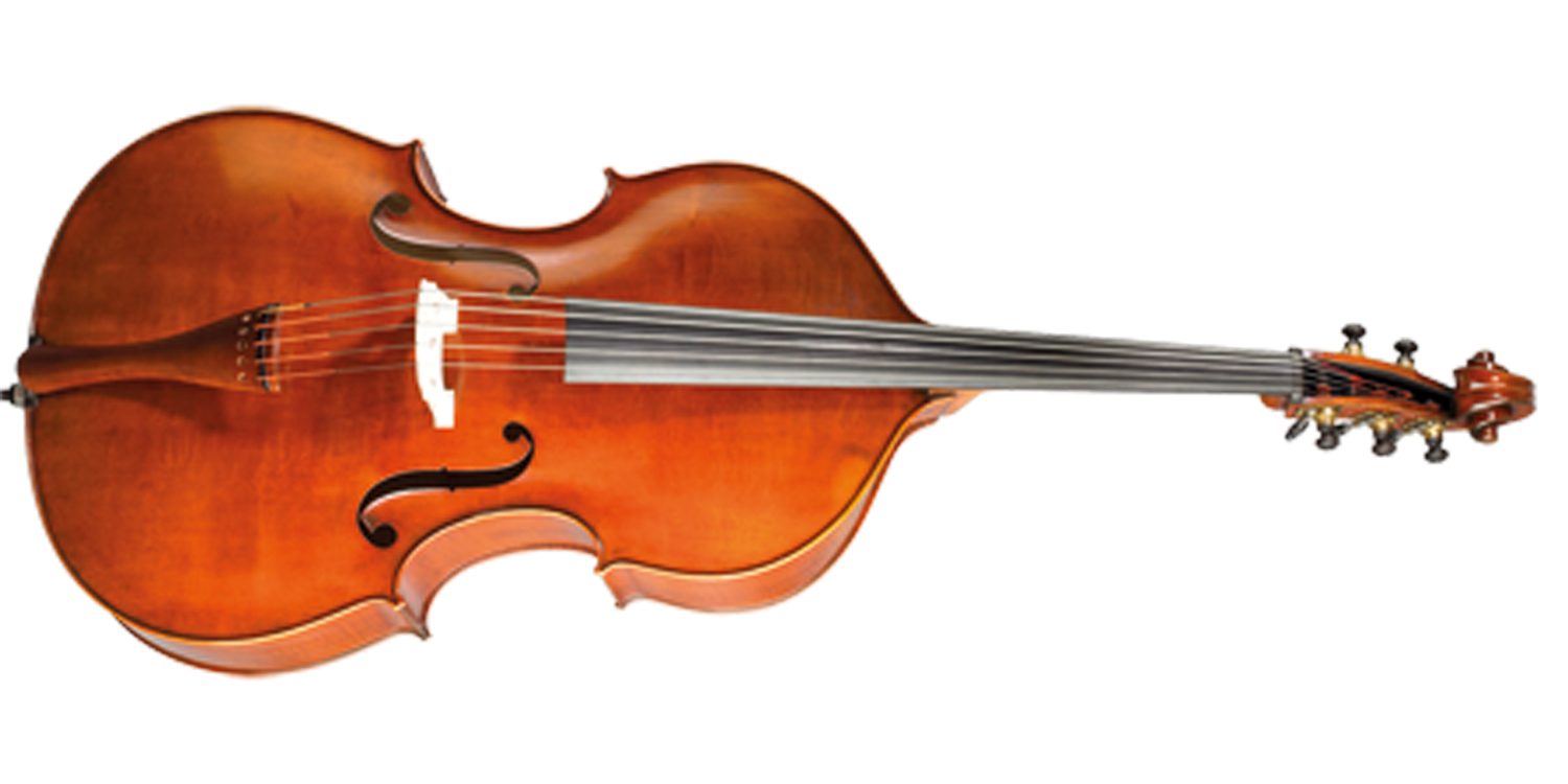 Paesold Double Bass PA599-1