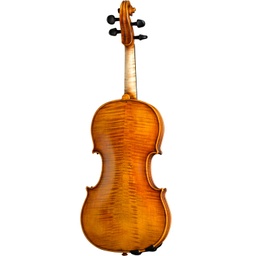 Paesold Violin PA806-GW &quot;Green World&quot;-3
