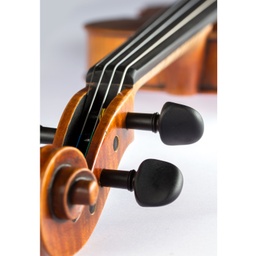 Paesold Violin PA806-GW &quot;Green World&quot;-5