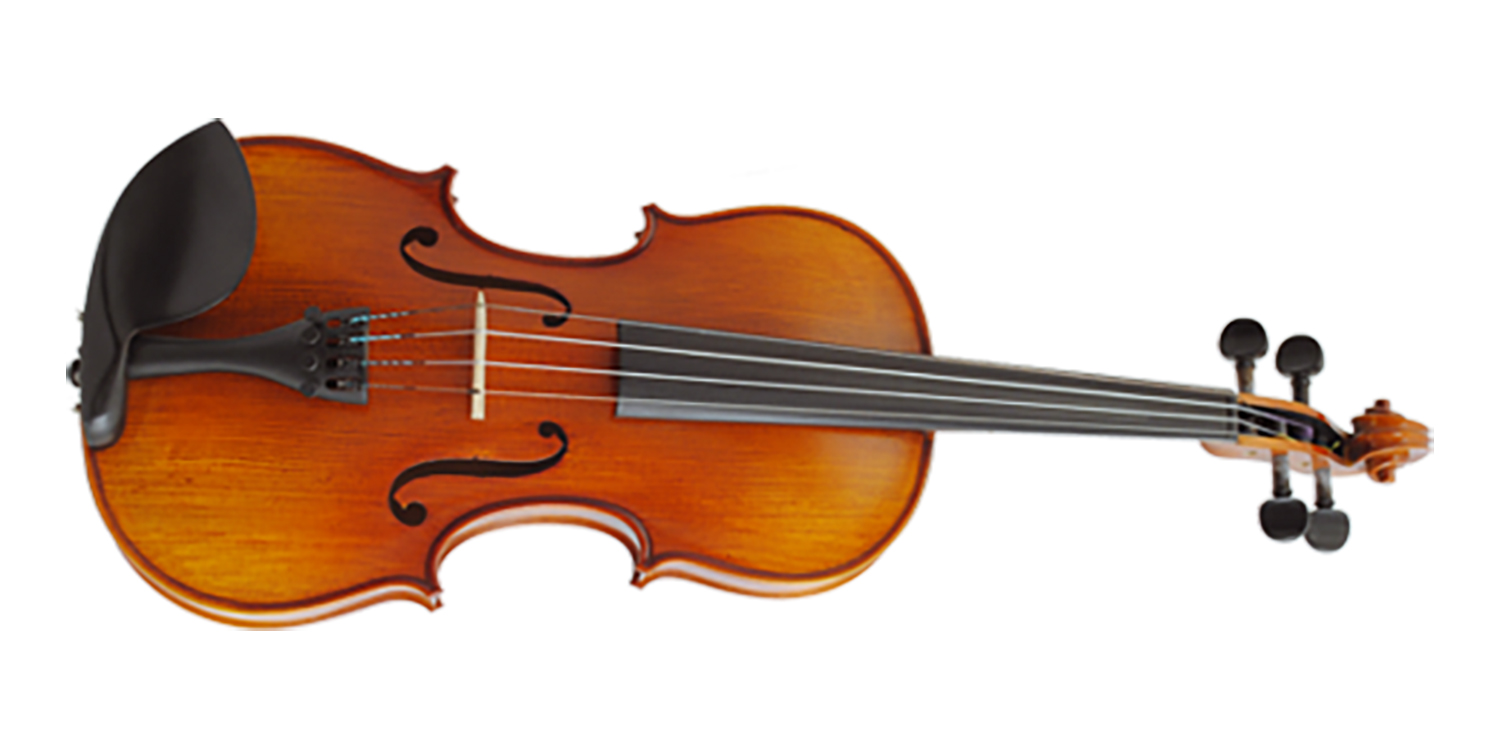 Paesold Violin PA800