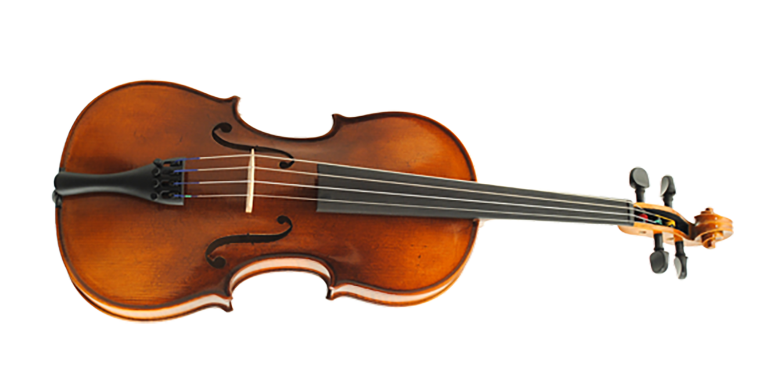 Paesold Violin PA801E