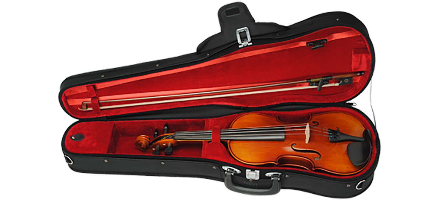 Paesold Violin Outfit PA800-0