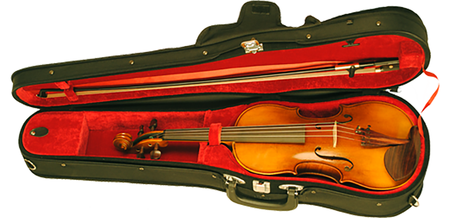 Paesold Violin Outfit PA801E-0