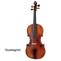 Paesold Violin PA805 Series