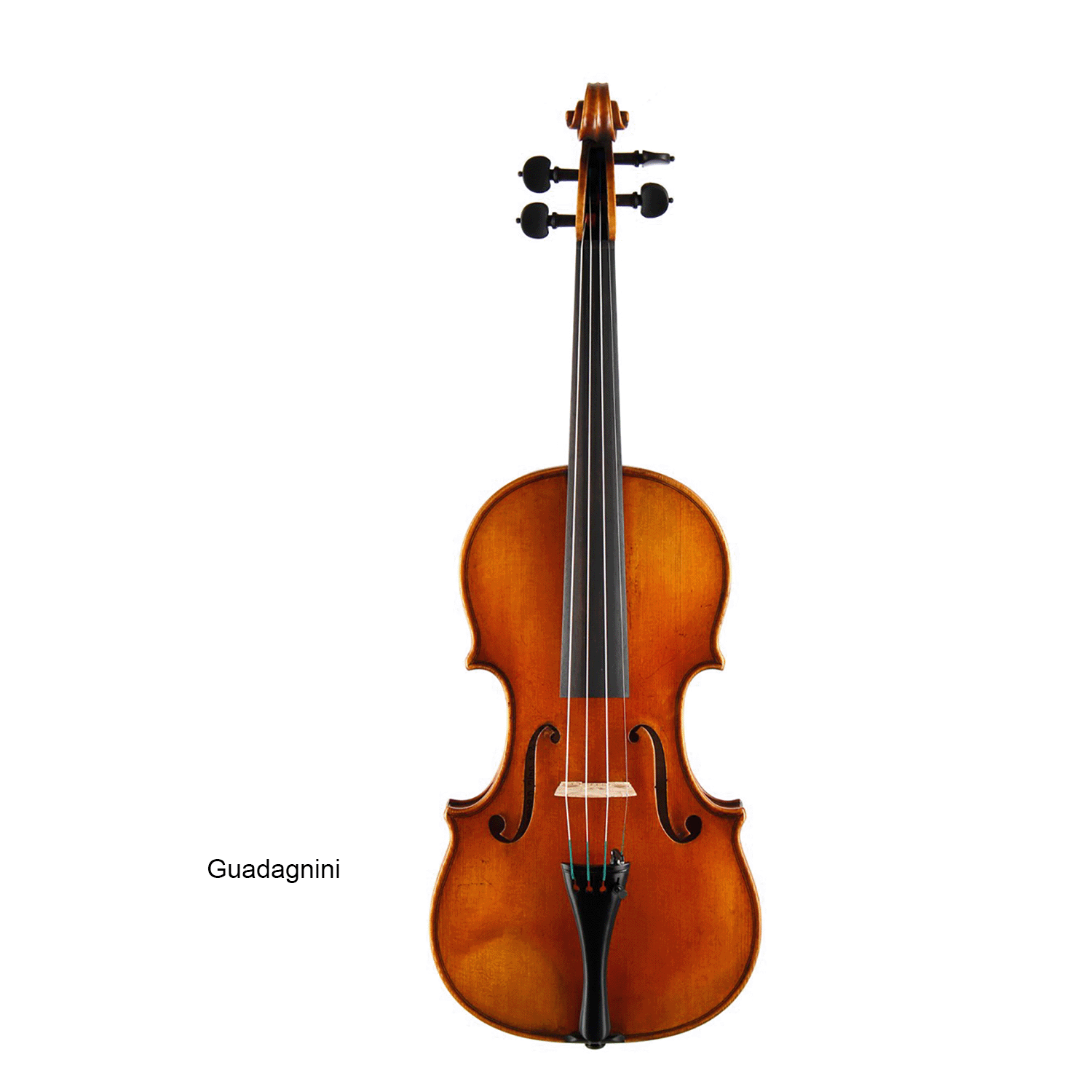 Paesold Violin PA807 Series