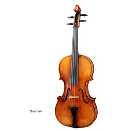 Paesold Violin PA807 Series