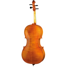 Paesold Cello PA600 (copy)-2