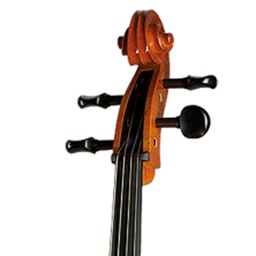 Paesold Cello PA600 (copy)-3