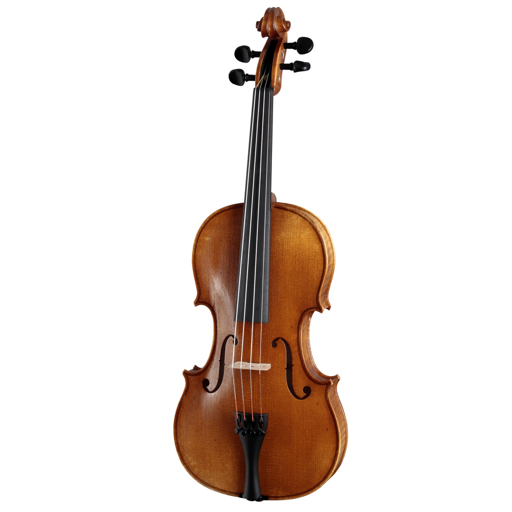 Roderich Paesold 802 4/4 Violin | eBay