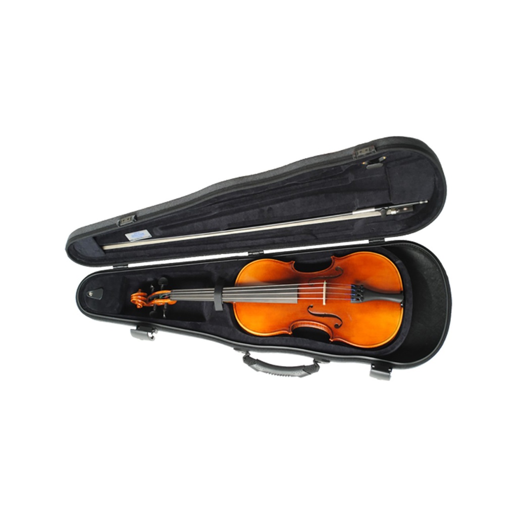 R.Paesold 803 1997 Violin 4/4 ケース付き（Купить roderich