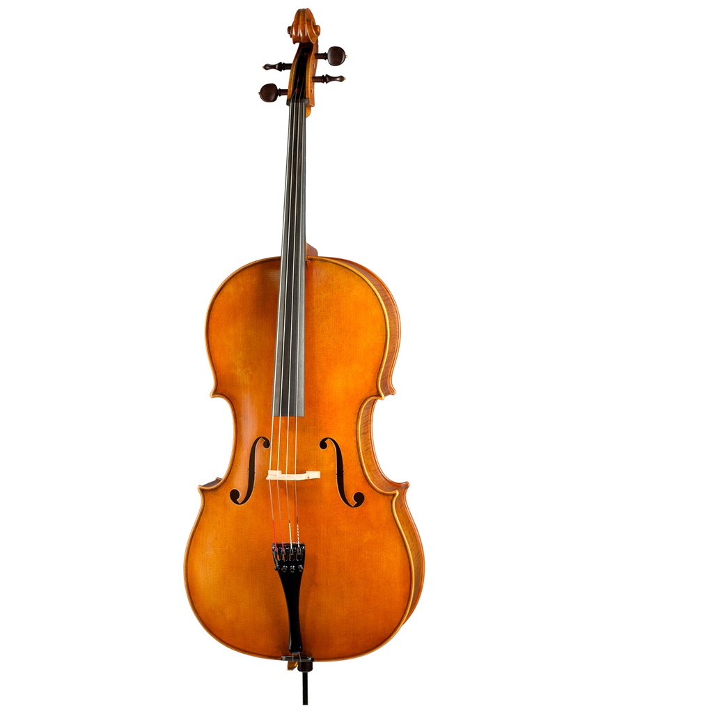 Paesold Cello