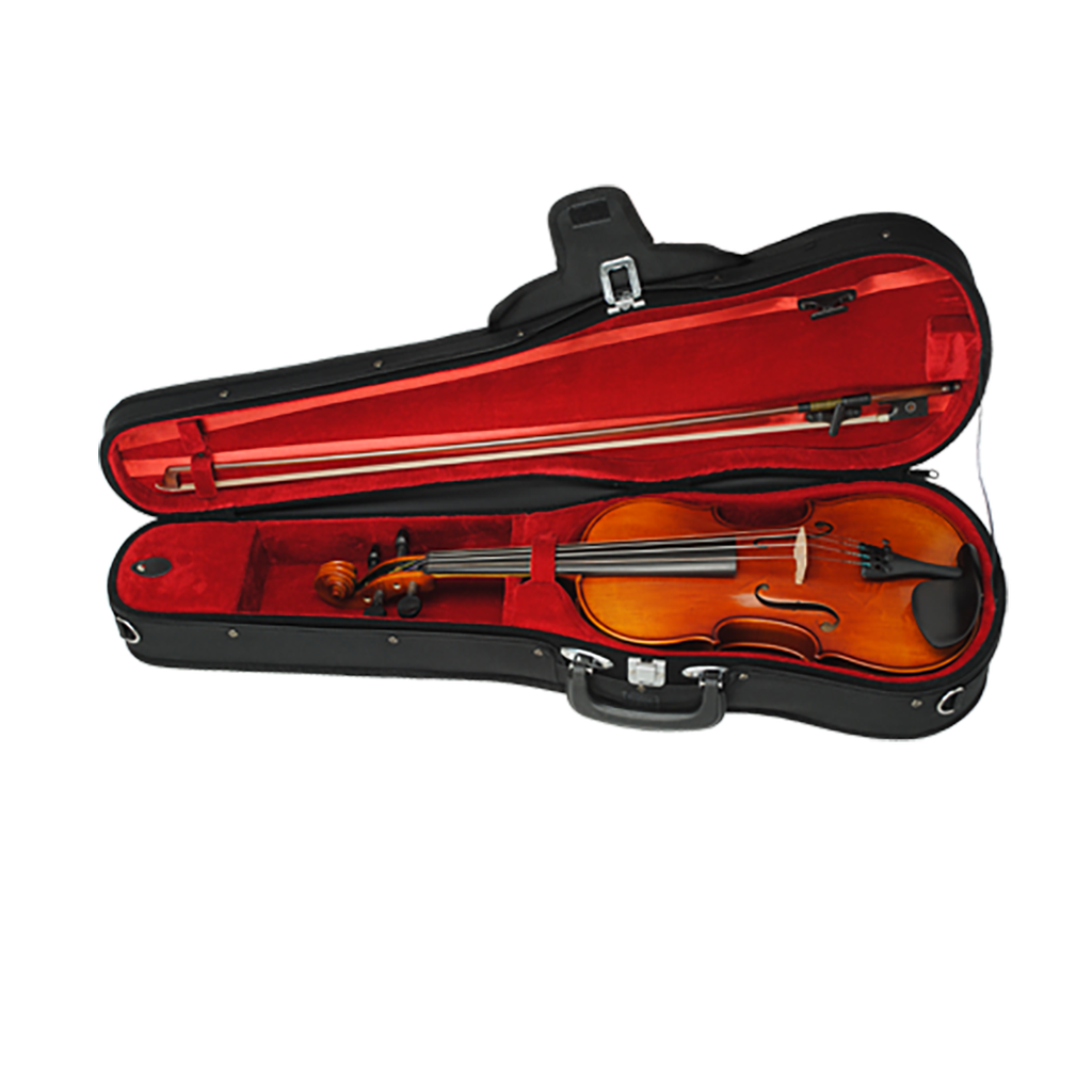 Paesold Violin Outfit